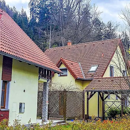 Geyserpark Village 3* Karlovy Vary
